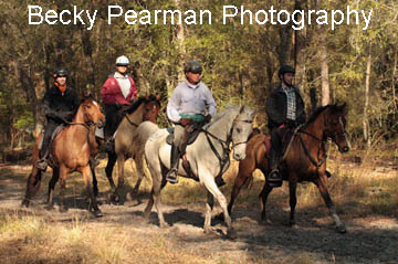 Endurance pic