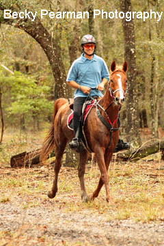 Endurance Pic