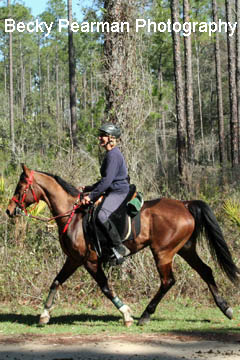 Endurance Pic