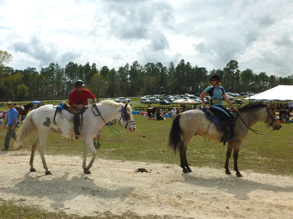 Endurance pic