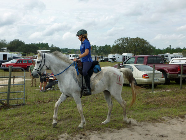Endurance pic