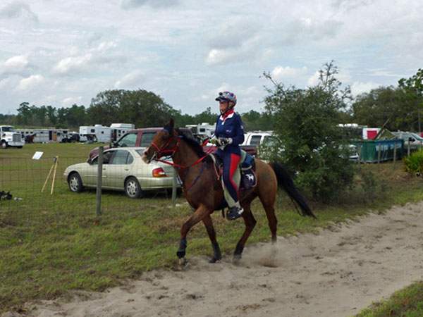 Endurance pic