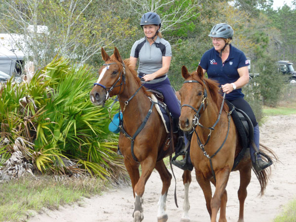 Endurance pic