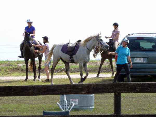 Endurance Pic