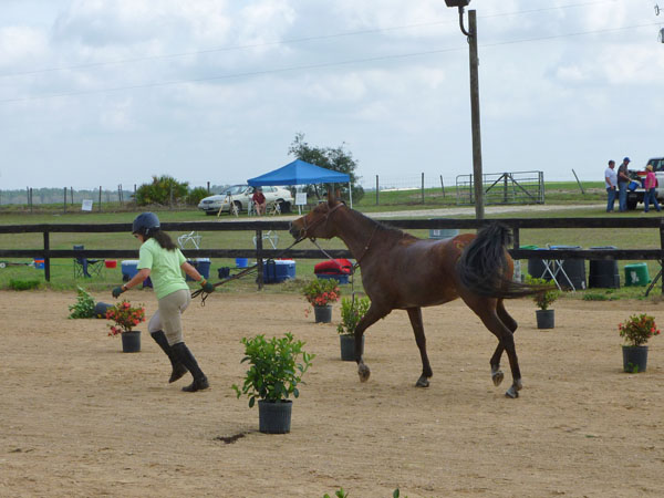 Endurance Pic