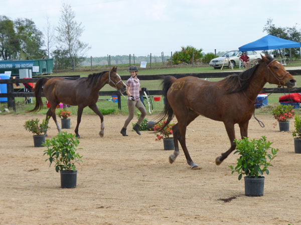 Endurance Pic