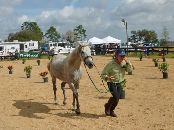 Endurance Pic
