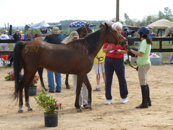 Endurance Pic
