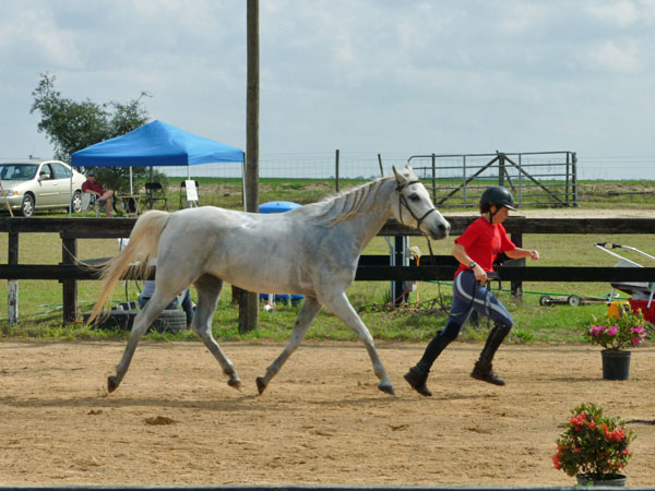 Endurance Pic