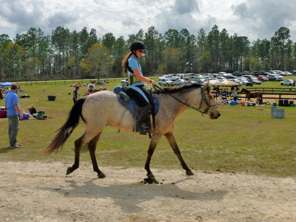 Endurance Pic