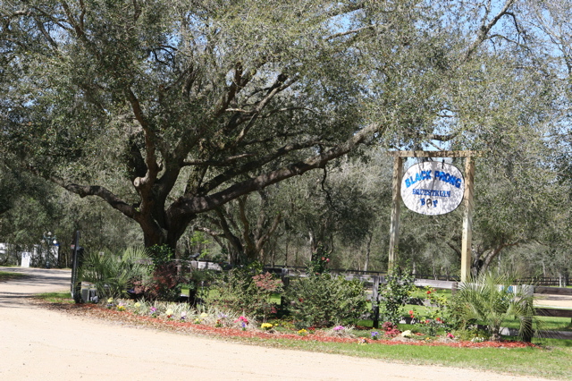 IMG_0049.JPG