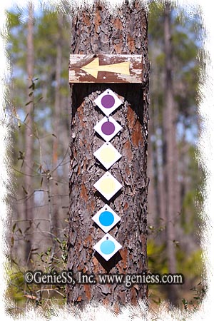 Trail Markings